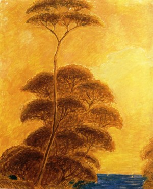 A sunny day with gold trees